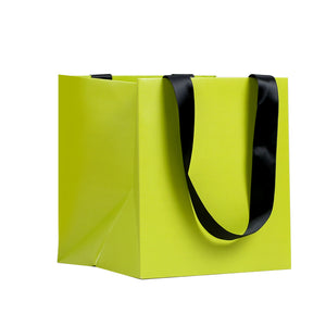 Paper Bag with Handles 85/165 Series (ONE CASE)